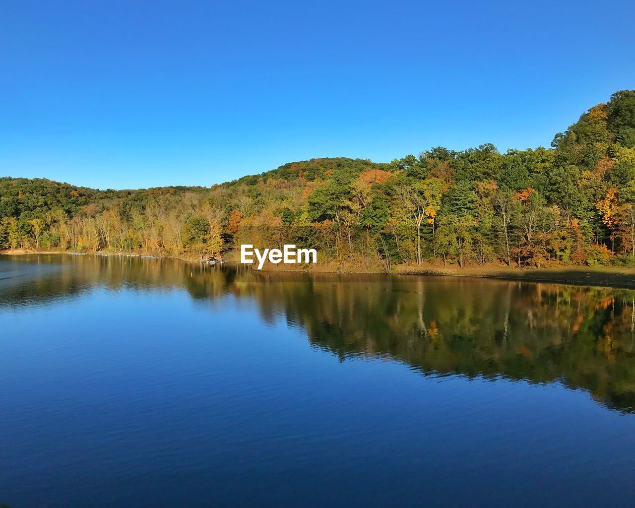 SCENIC VIEW OF LAKE BY TREES AGAINST CLEAR BLUE SKY