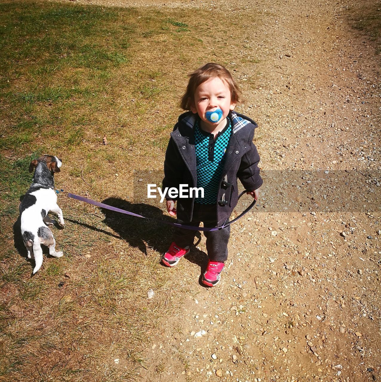 High angle portrait of girl with puppy on field