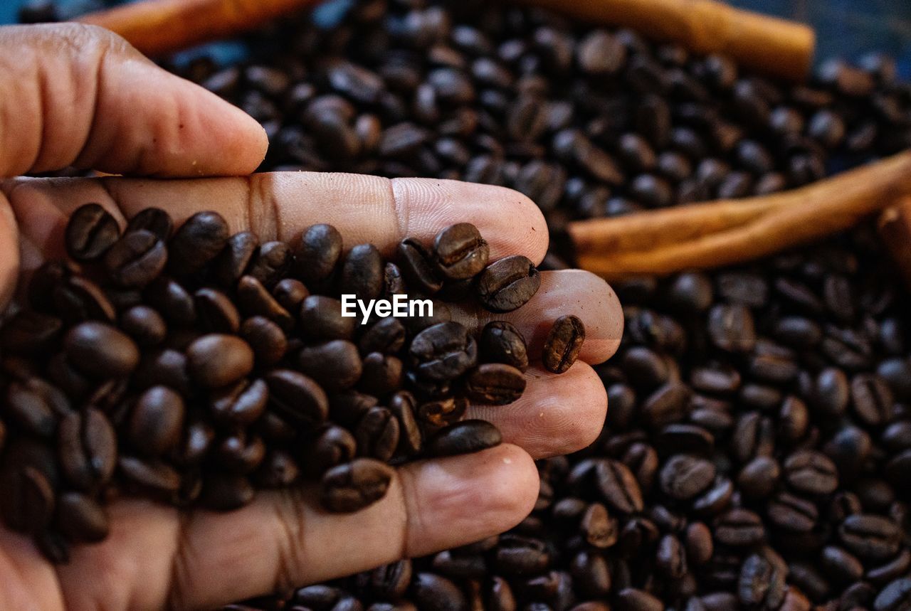 food and drink, coffee, food, roasted coffee bean, drink, freshness, hand, large group of objects, abundance, close-up, brown, raw coffee bean, holding, agriculture, coffee crop, roasted, produce, cup, refreshment, scented, harvesting, healthy eating