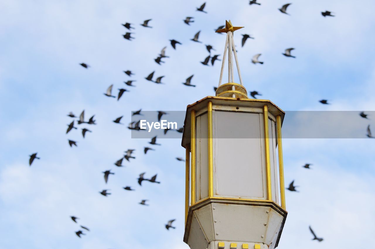 Lamppost and a flock of birds