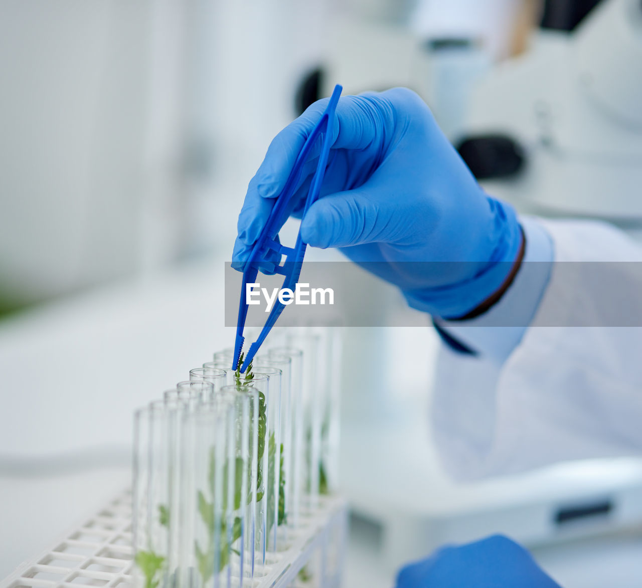 cropped hand of scientist holding dental equipment