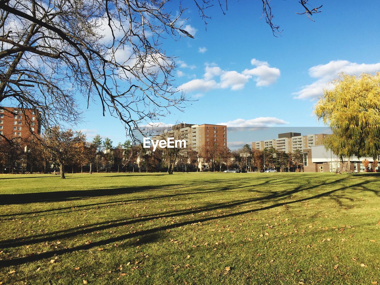 Scenic view of grassy field against sky