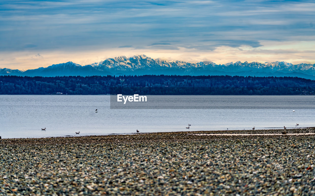 A landscape shot of a rocky shoreline with the puget sound and mountains in des moines, washington.