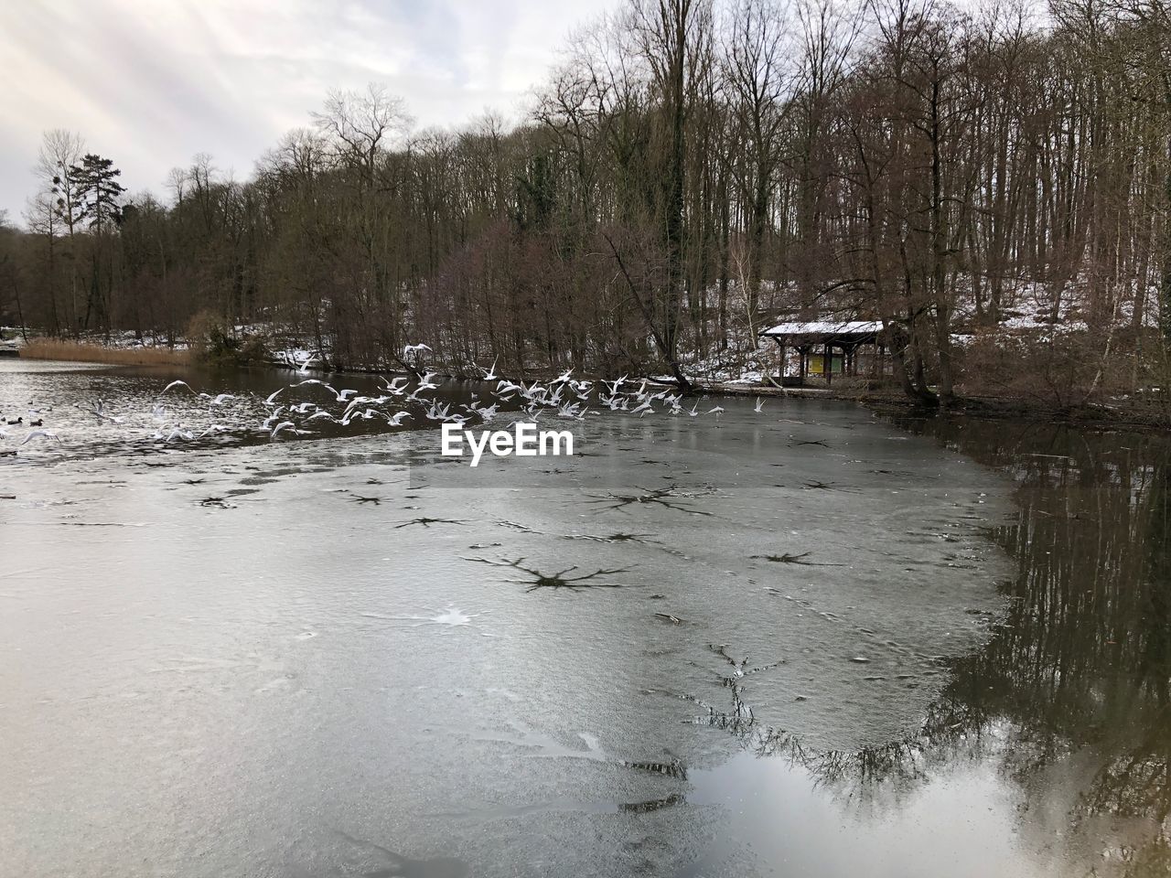 SCENIC VIEW OF LAKE IN WINTER