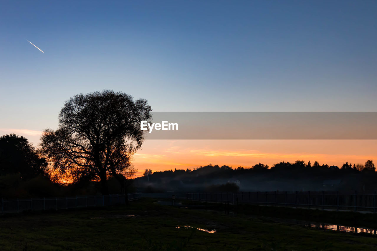 SILHOUETTE TREE ON FIELD AGAINST SKY DURING SUNSET