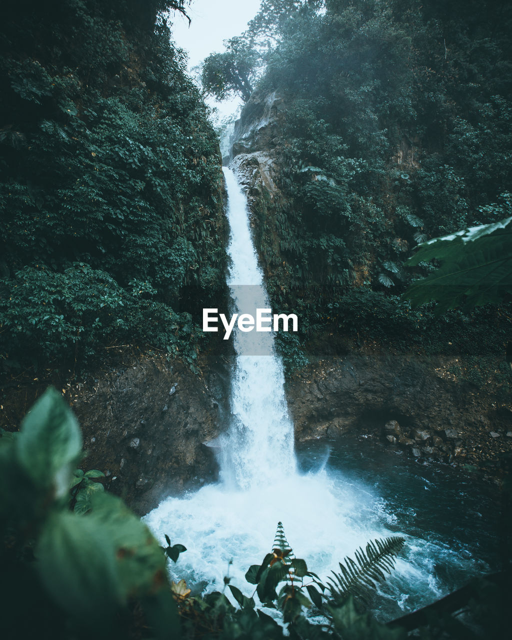 Scenic view of waterfall falling from mountain in forest