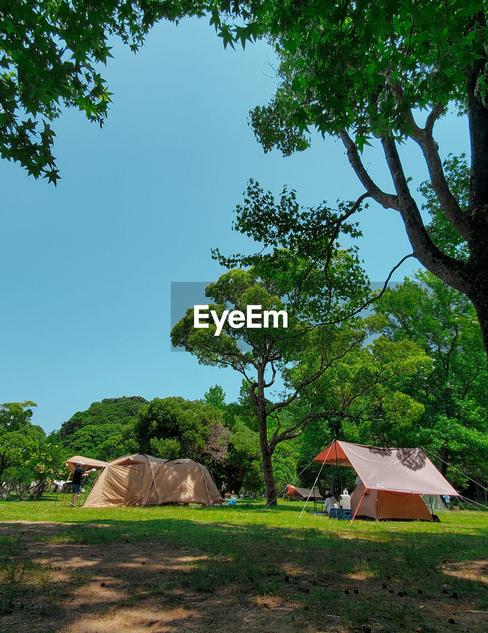 plant, tree, green, nature, rural area, architecture, grass, sky, built structure, no people, house, building, leaf, landscape, environment, beauty in nature, building exterior, land, outdoors, day, field, tranquility, jungle, travel destinations, residential district, scenics - nature, growth, travel, garden, hut, sunlight, rural scene
