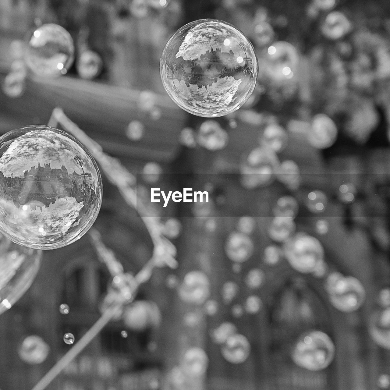 bubble, black and white, sphere, liquid bubble, close-up, monochrome photography, focus on foreground, soap sud, monochrome, disco ball, macro photography, fragility, white, shiny, no people, hanging, mid-air, water, reflection, decoration, black, selective focus, shape, nature, drop, geometric shape, tree, outdoors, light, transparent, circle, glass