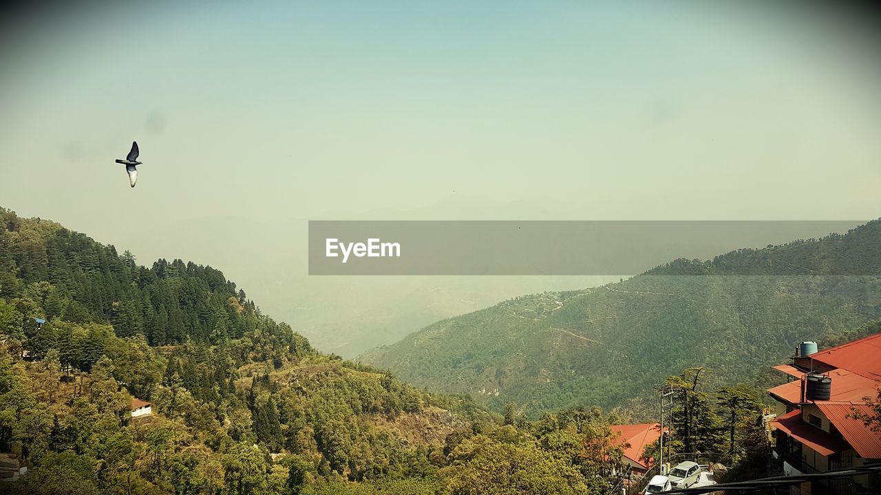 SCENIC VIEW OF MOUNTAIN AGAINST SKY