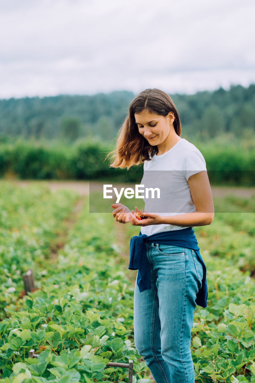 Woman is picking strawberries at a u-pick farm in washington