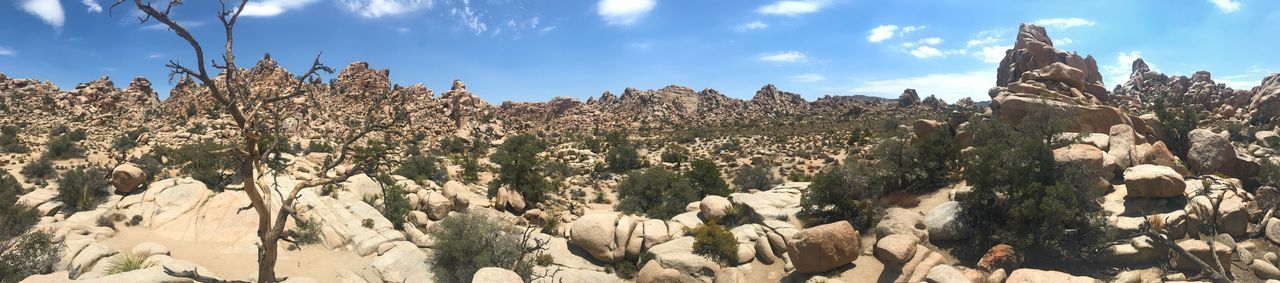 PANORAMIC VIEW OF TREES ON ROCK AGAINST SKY