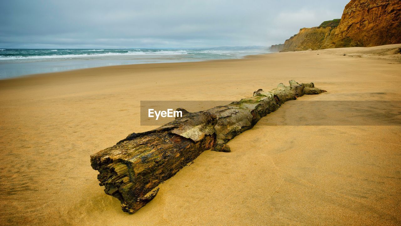 High angle view of driftwood at beach
