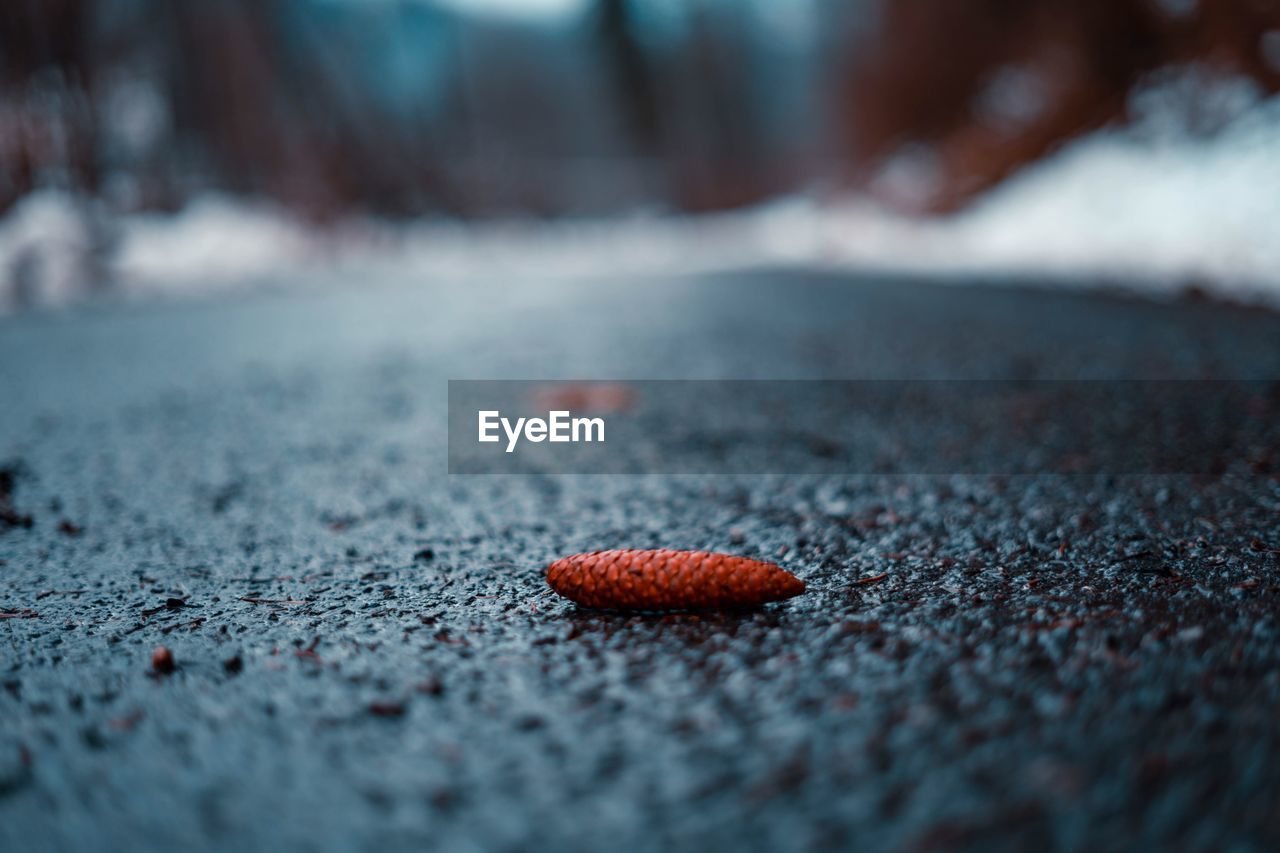 Surface level image of food on road