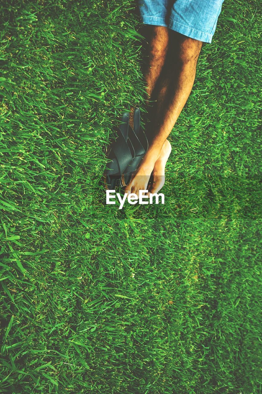 Low section of man relaxing on grassy field