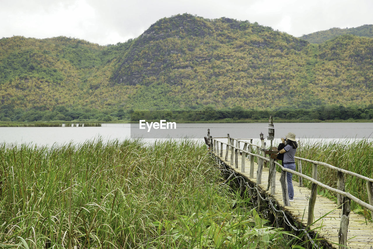 Woman standing on footbridge amidst plants by lake