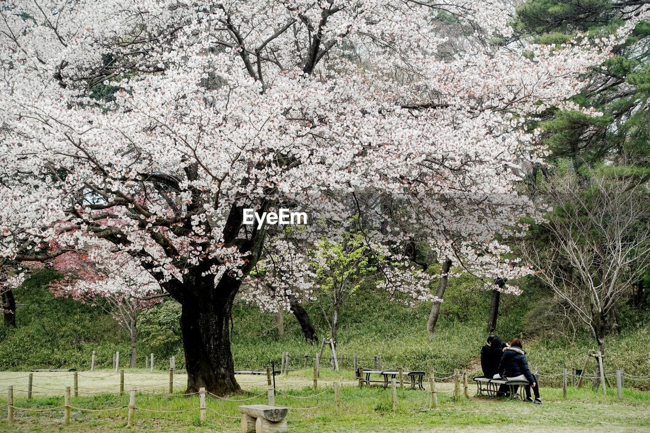 Rear view of two people sitting on landscape