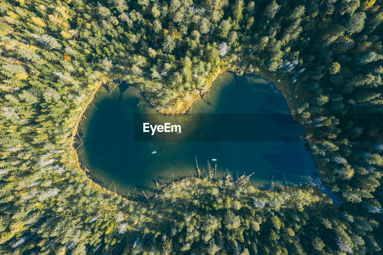 Blue lake in the middle of autumn forest from above. sup board. lake of unusual shape.