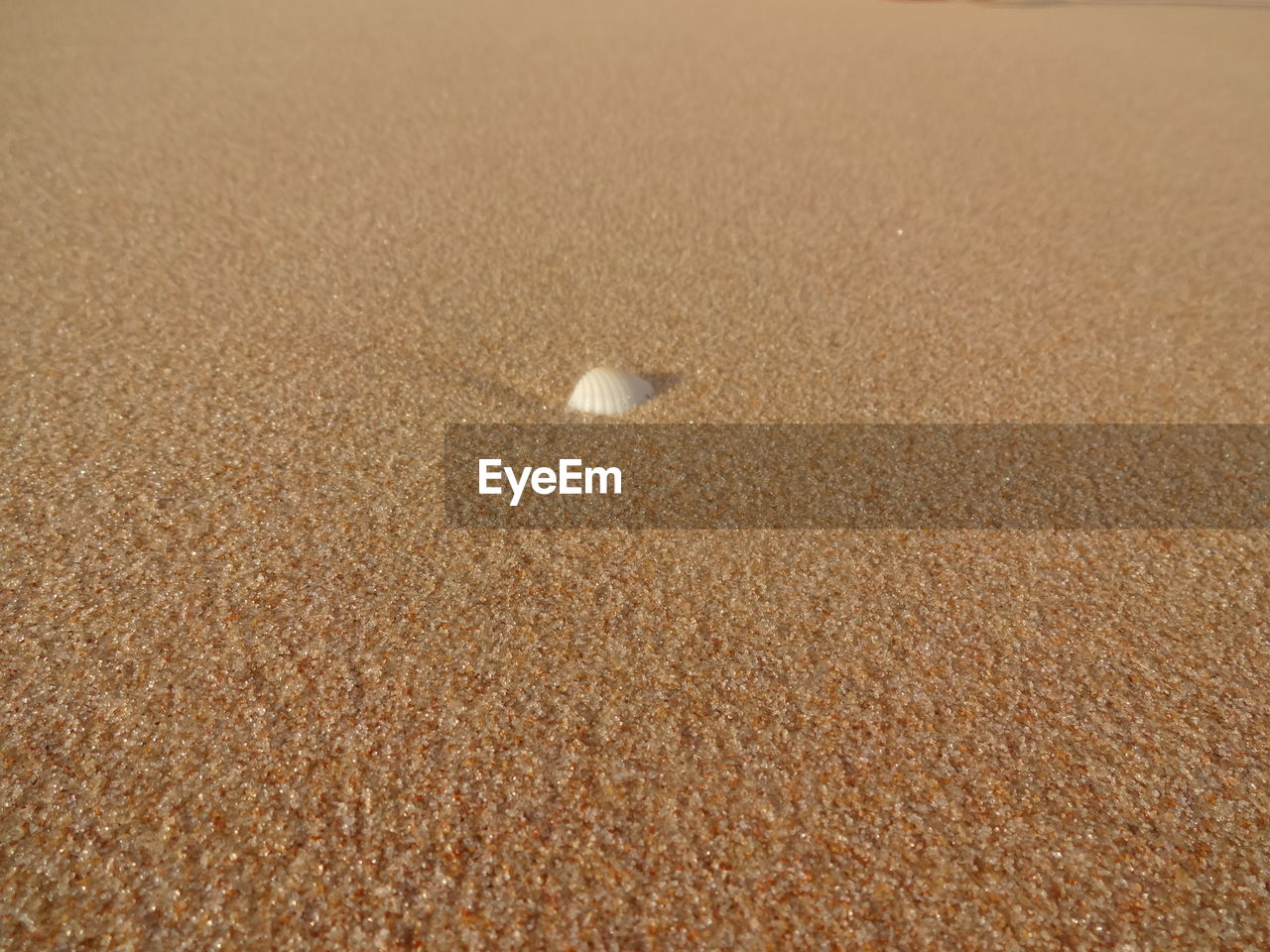 CLOSE-UP OF SAND AT BEACH DURING SUNSET