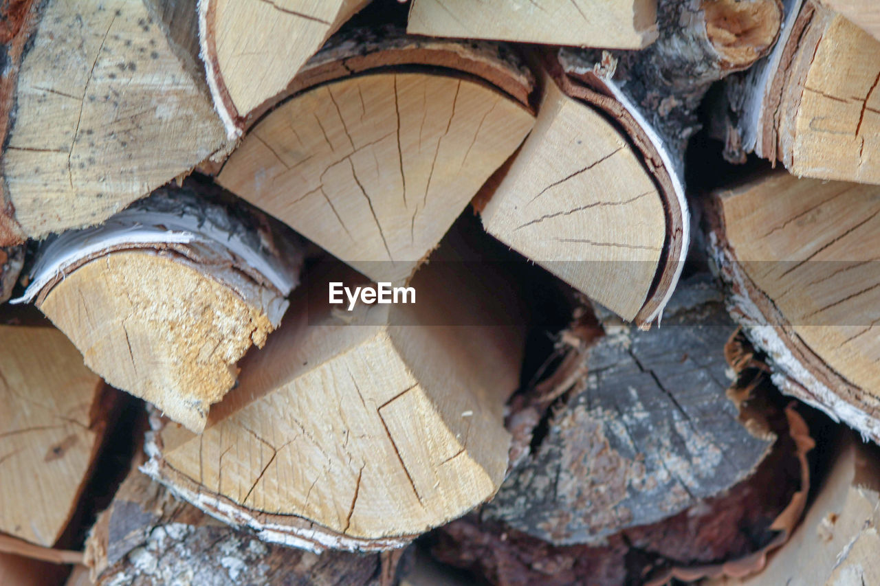 Close-up of logs in forest