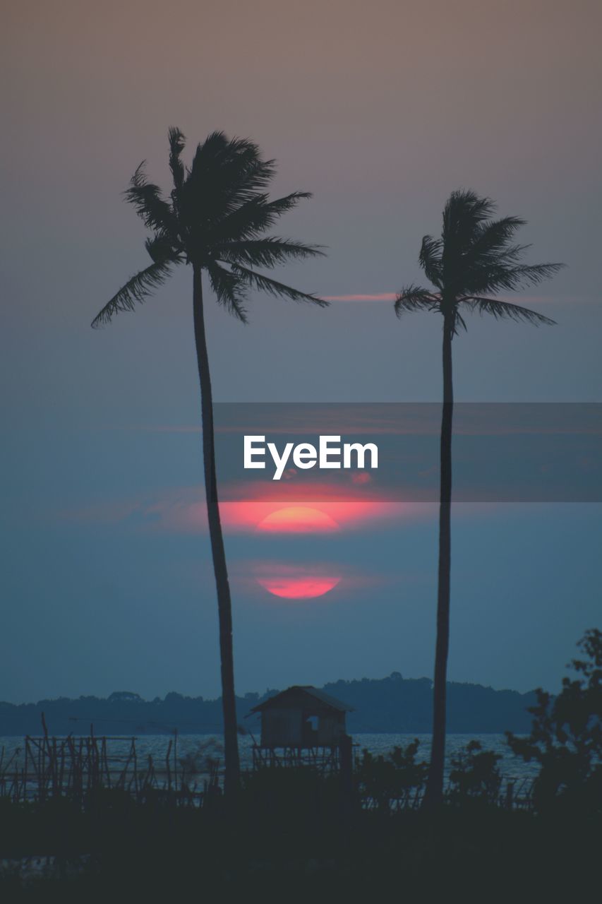 SILHOUETTE PALM TREES AGAINST SKY AT SUNSET