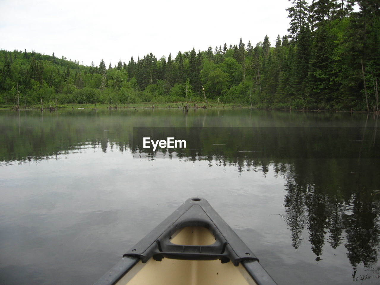 Reflection of trees in lake against sky