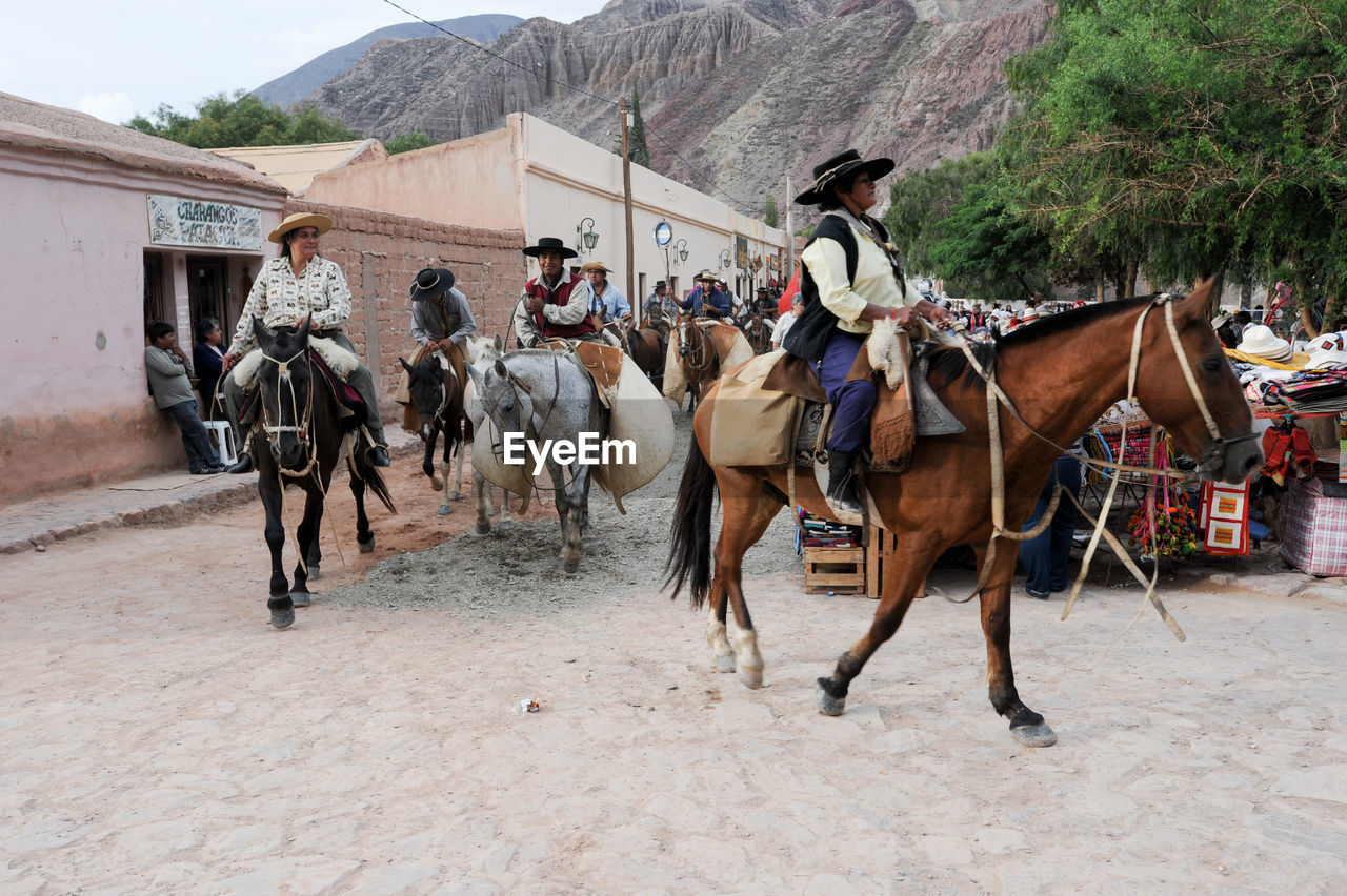 MAN RIDING HORSES ON STREET