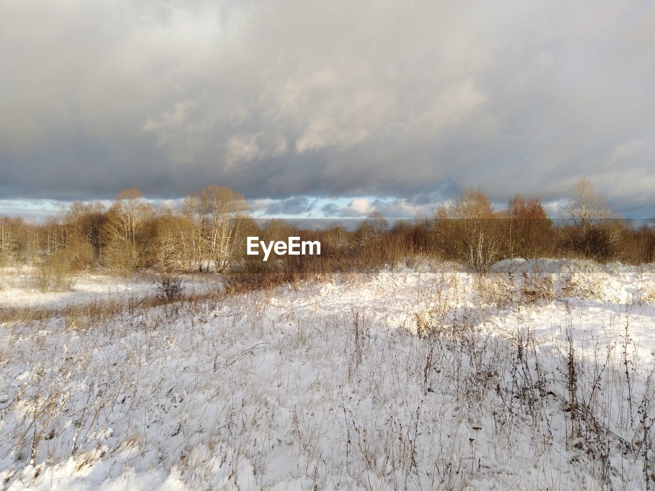 VIEW OF SNOW COVERED LAND