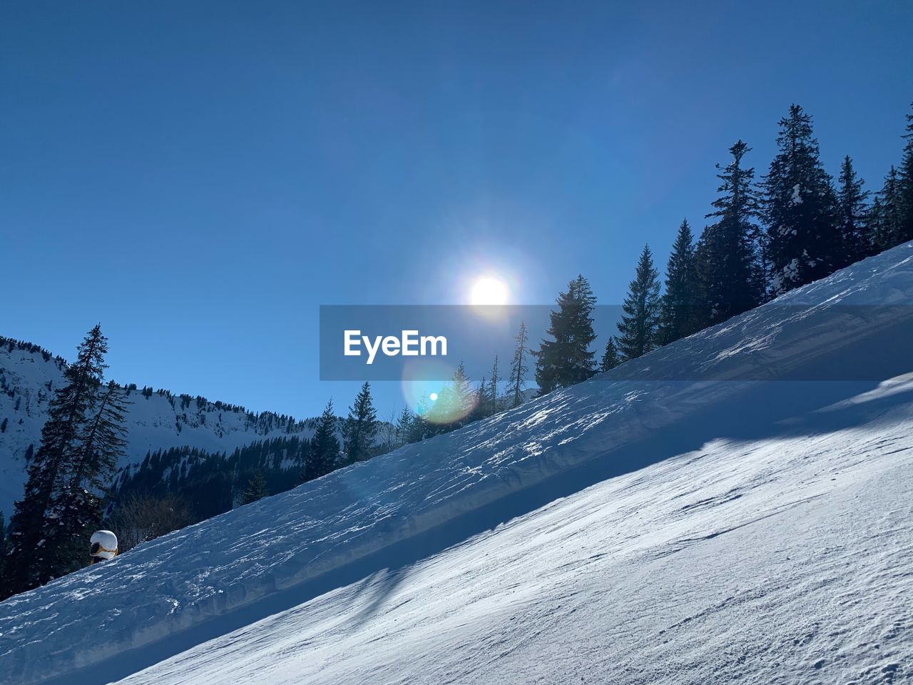 Snow covered land and trees against sky