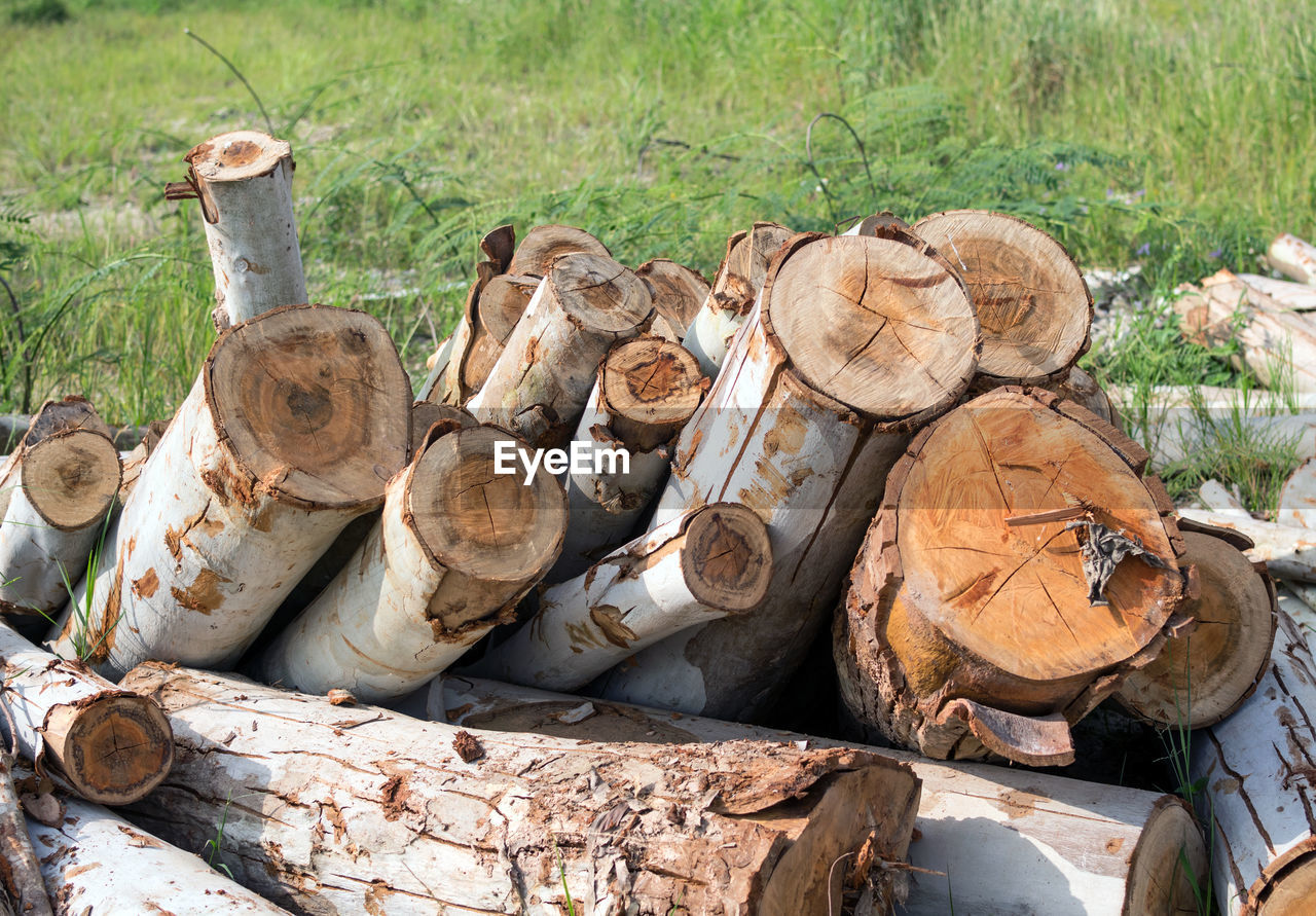 STACK OF LOG ON FIELD