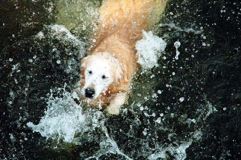 VIEW OF WATER SPLASHING ON TREE