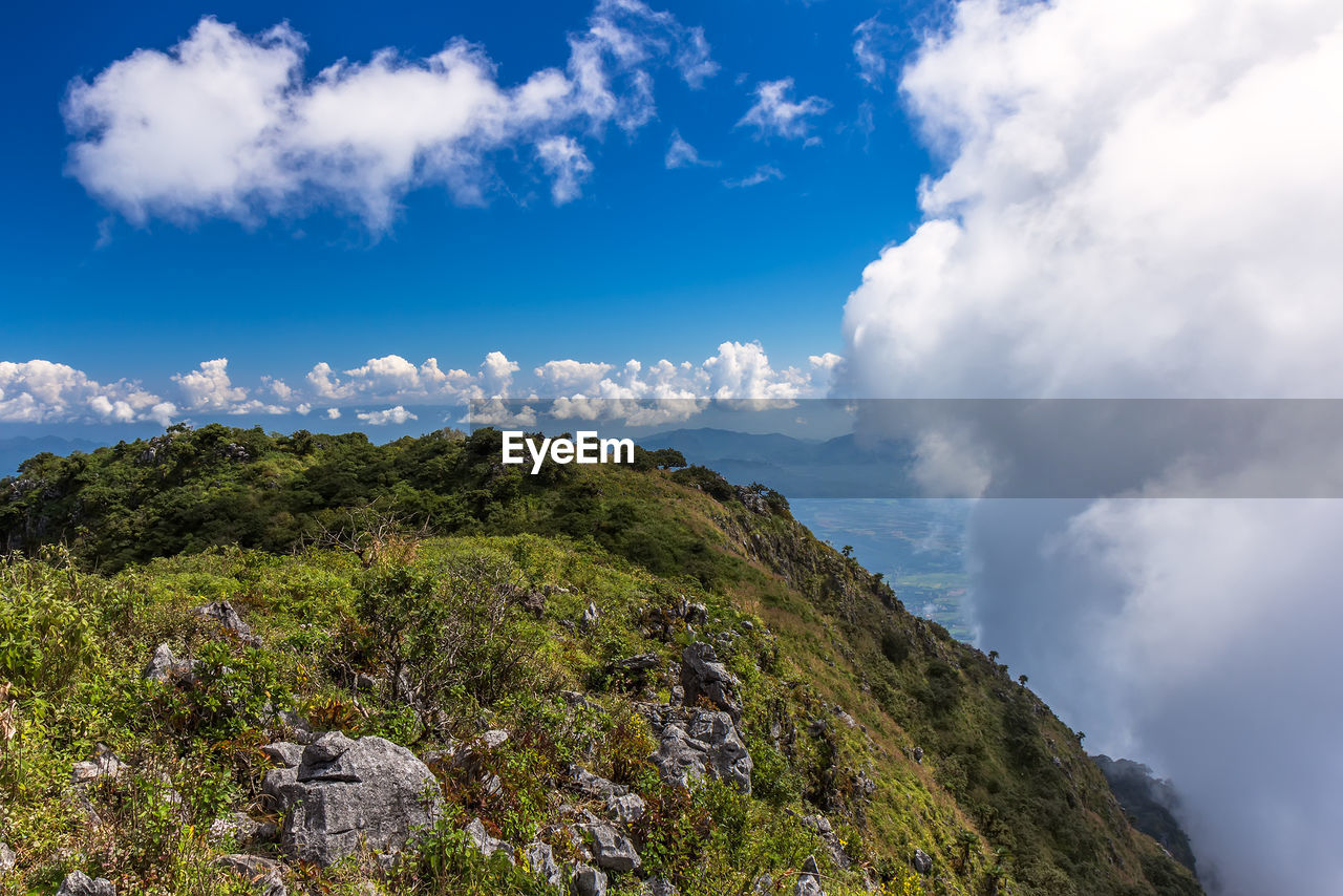 SCENIC VIEW OF GREEN LANDSCAPE AGAINST SKY