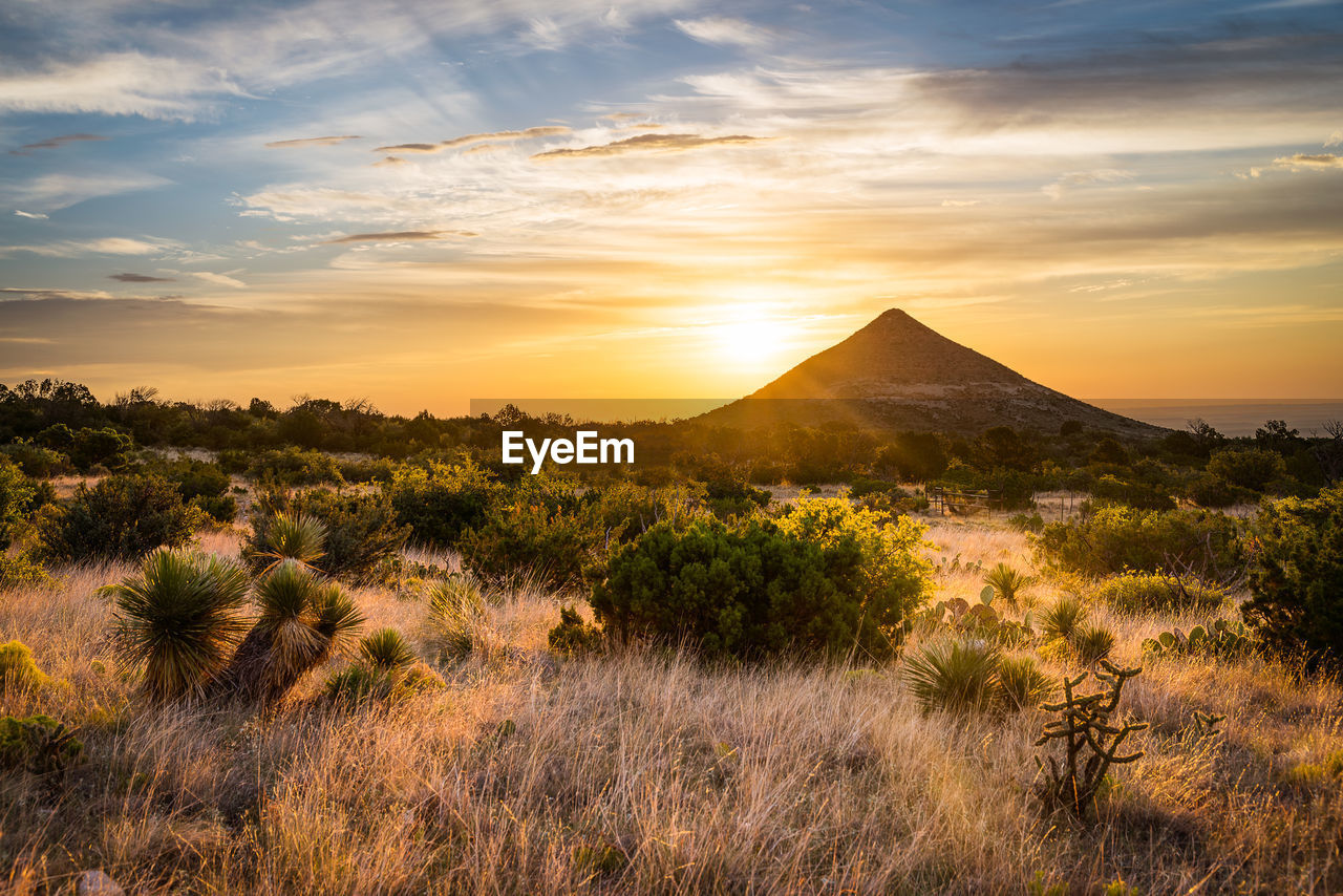 Scenic view of landscape during sunset in guadalupe mountain national park - texas