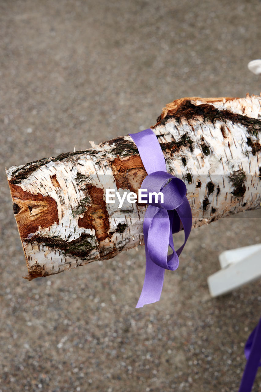 Close-up of hand holding wood with ribbon