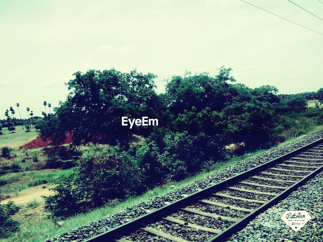 RAILROAD TRACK BY TREES AGAINST SKY