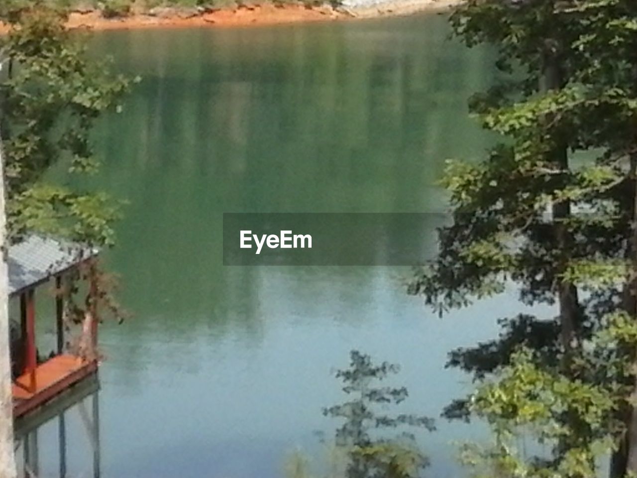 TREES REFLECTING IN LAKE