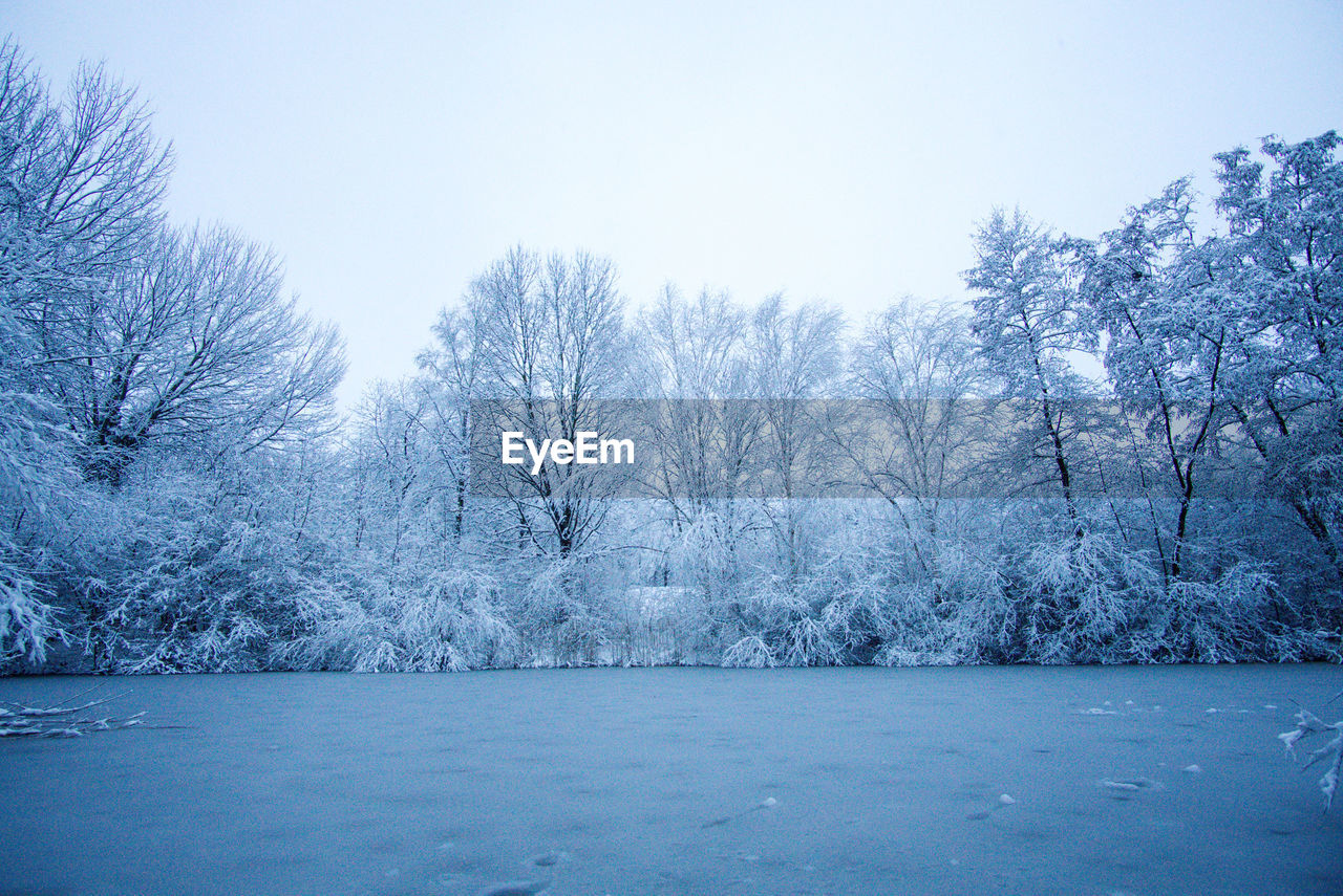 BARE TREES ON SNOW COVERED LANDSCAPE