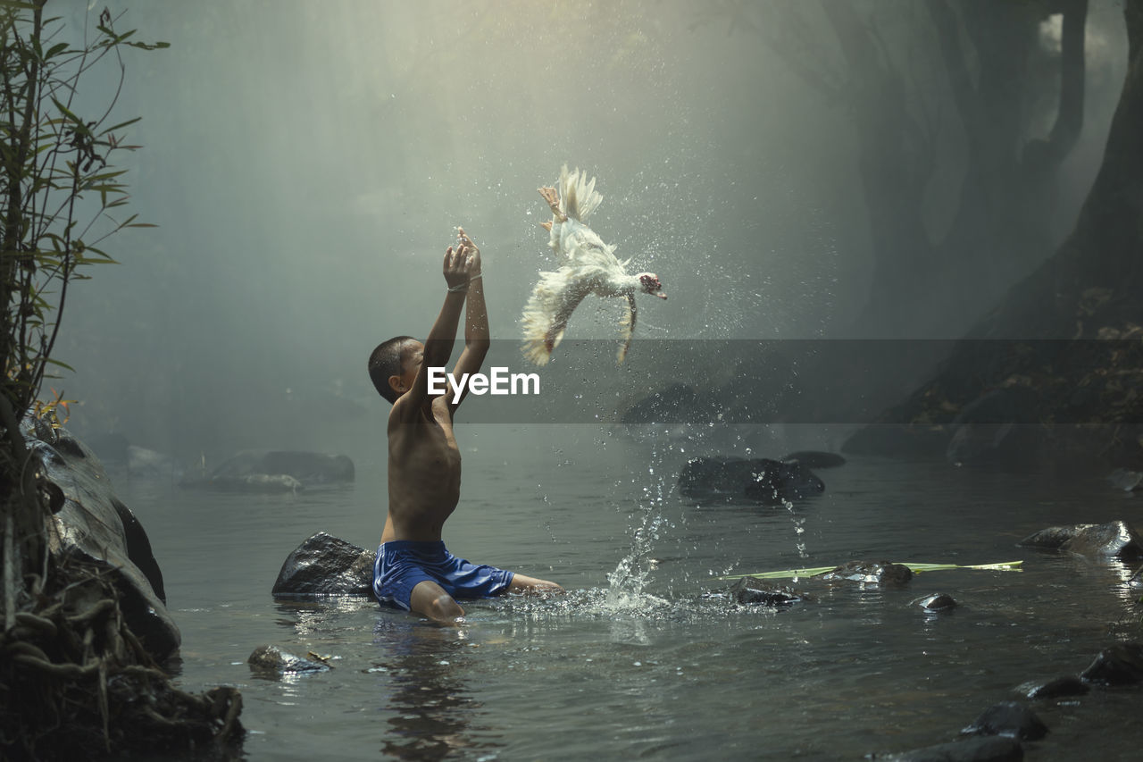 Shirtless boy with arms raised looking at bird flying while sitting on rock in river