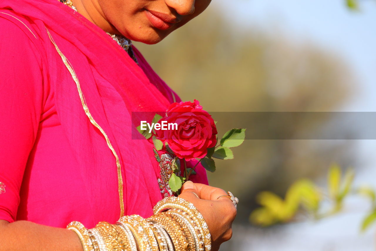 A red rose hold on women hand with pink color sari and out of focus background
