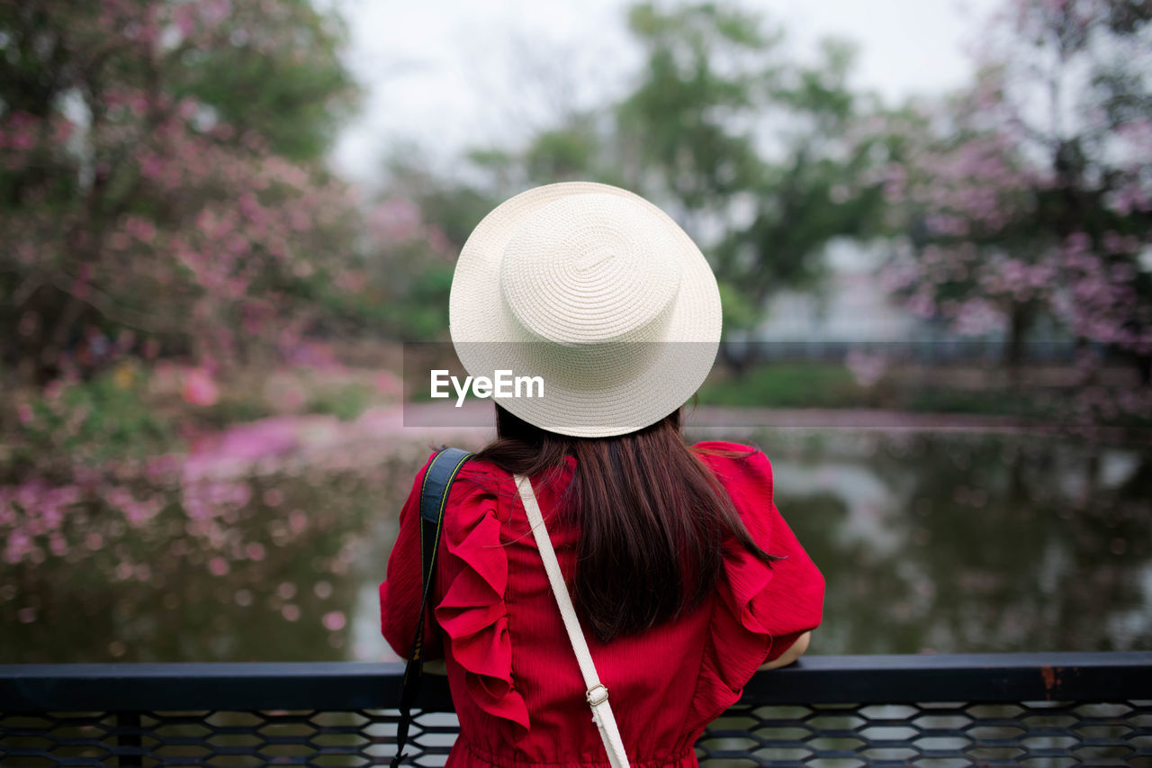 Rear view of woman wearing hat while standing against trees