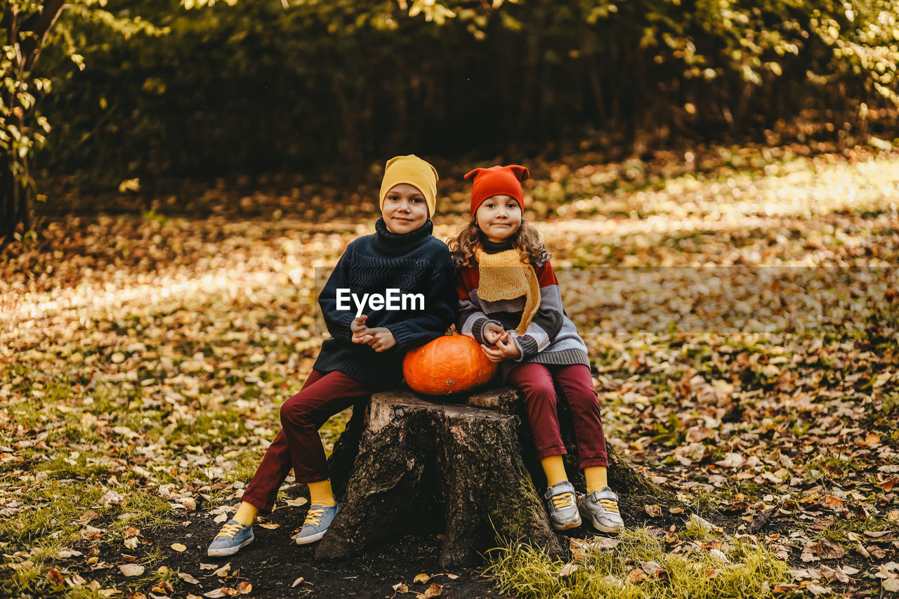 A little girl and a boy children are sitting on a tree stump with a large pumpkin in an autumn park