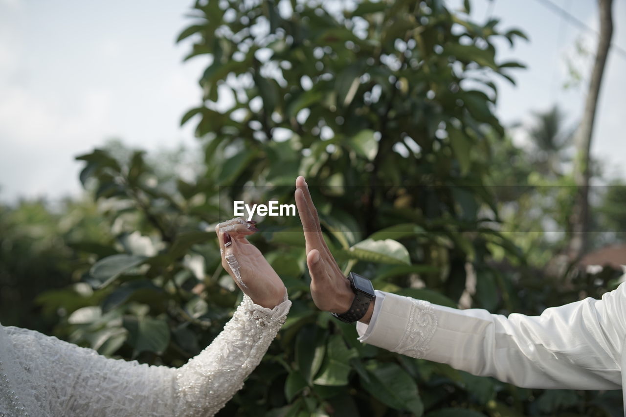 plant, adult, tree, nature, flower, arm, limb, hand, human limb, one person, day, communication, outdoors, men, holding, focus on foreground, arms raised, wireless technology, growth, spring, lifestyles, leisure activity, gesturing, leaf, plant part, women, clothing, young adult, technology, standing