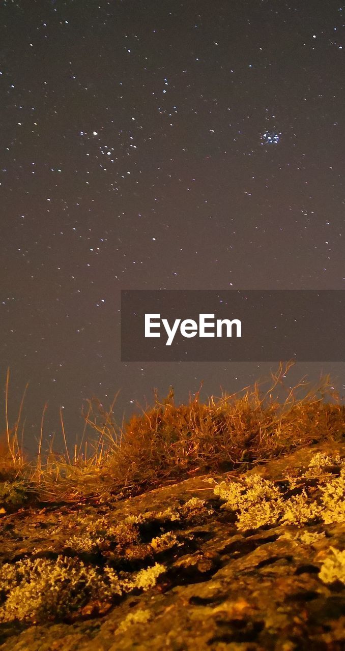 SCENIC VIEW OF STAR FIELD AGAINST SKY