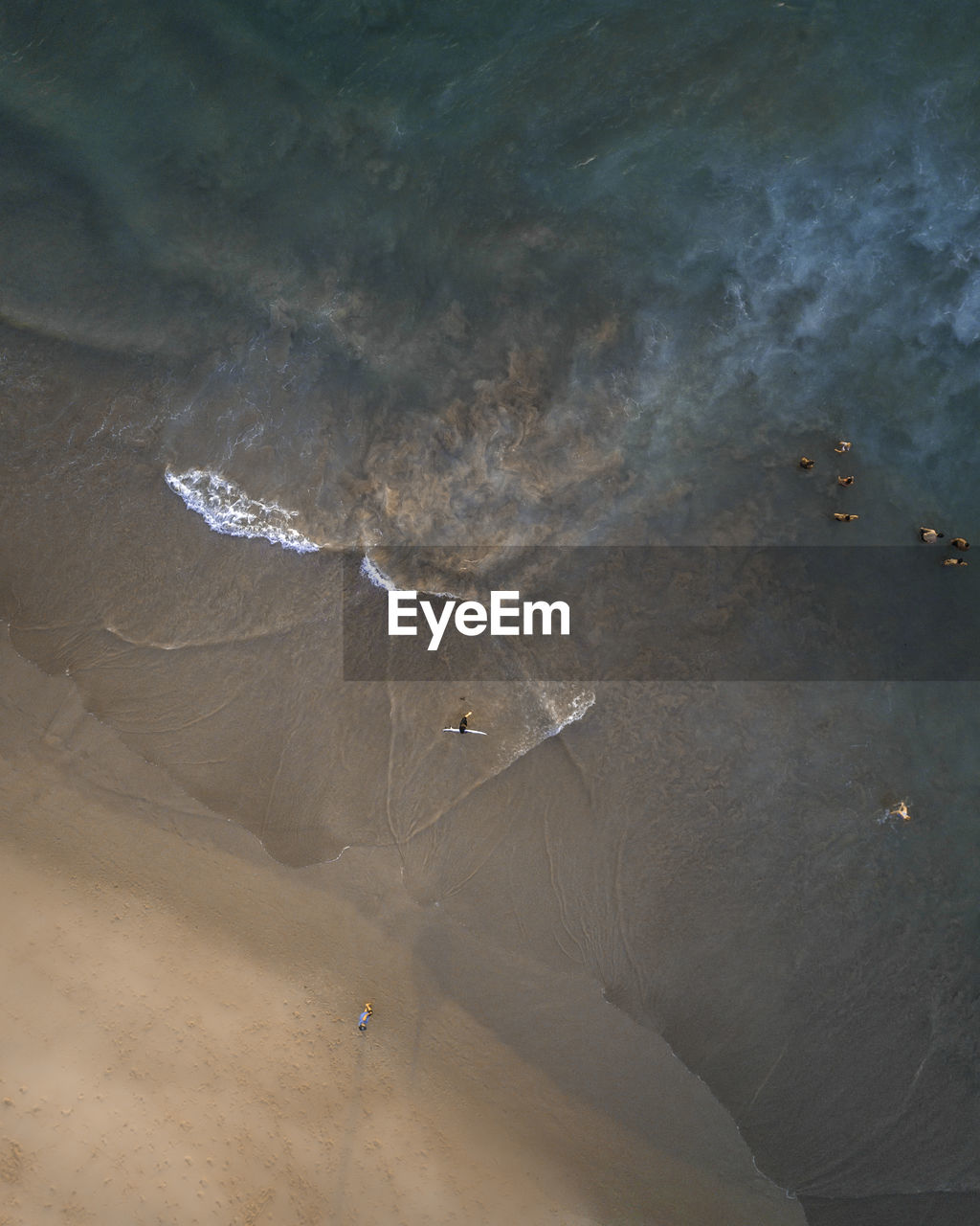 Aerial view of beach