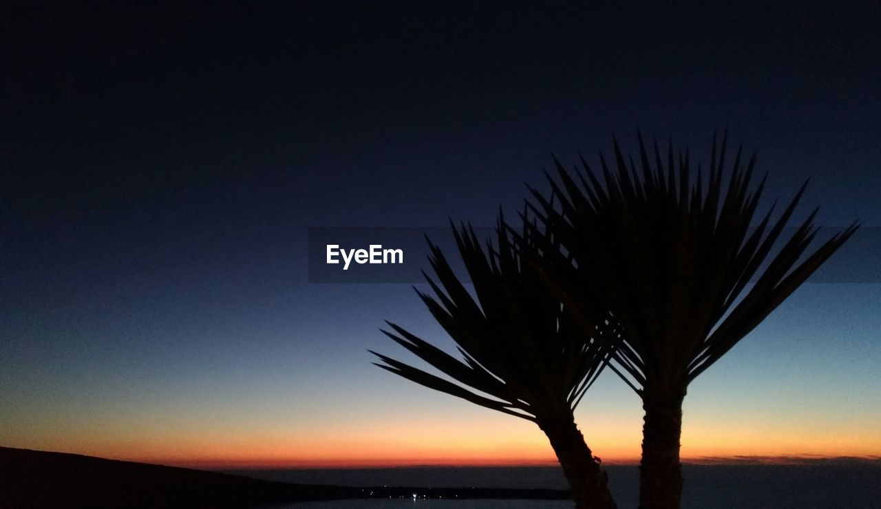 Silhouette tree against sky during sunset