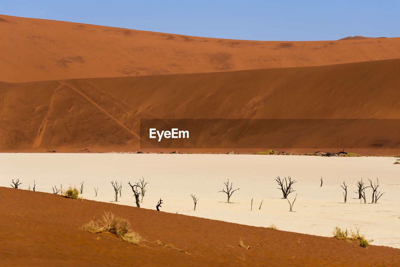 Scenic view of desert against clear sky