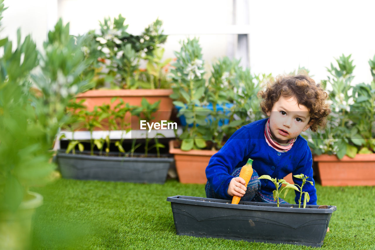 Portrait of cute boy in yard