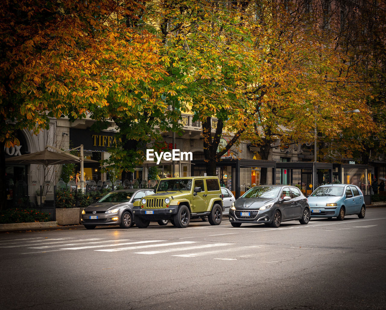 CARS ON STREET DURING AUTUMN