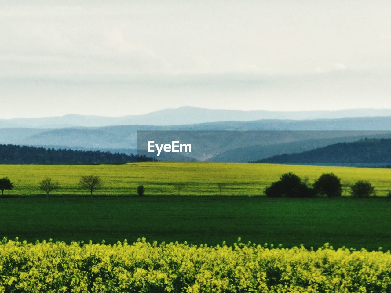 SCENIC VIEW OF FIELD AGAINST CLOUDY SKY