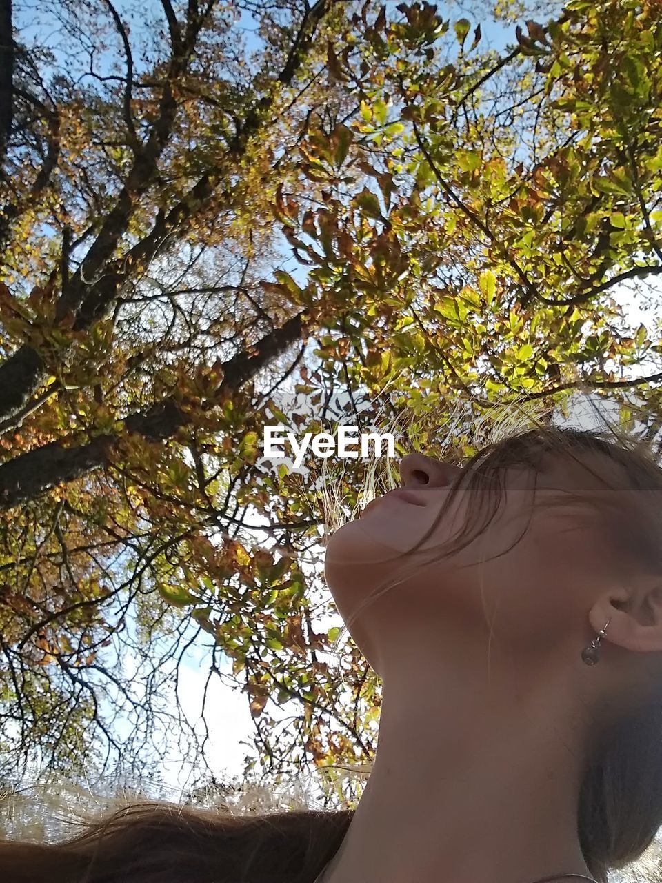 LOW ANGLE VIEW OF WOMAN AGAINST TREE