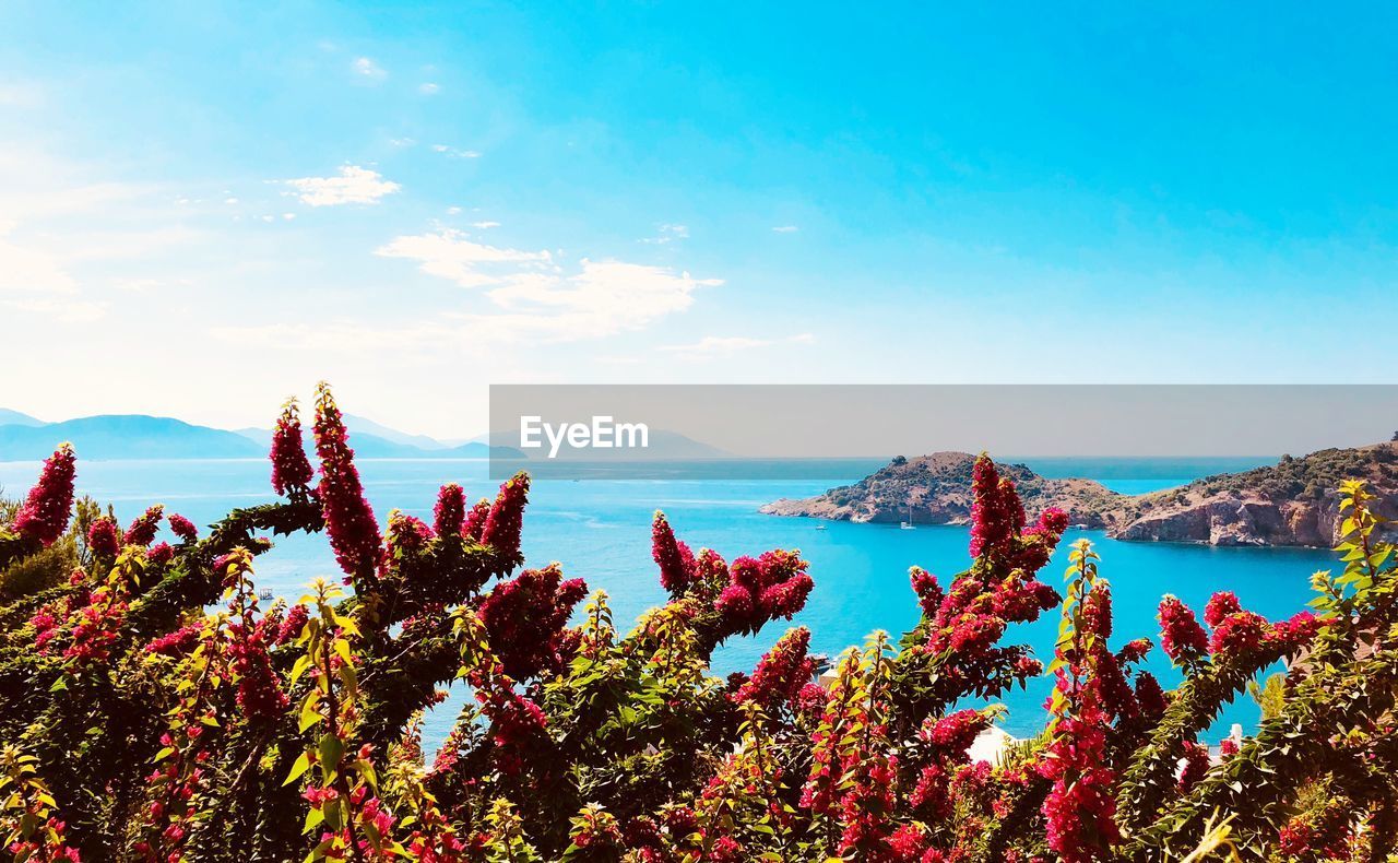 Scenic view of sea against blue sky